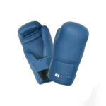 Karate Mitts 1